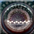 G01 